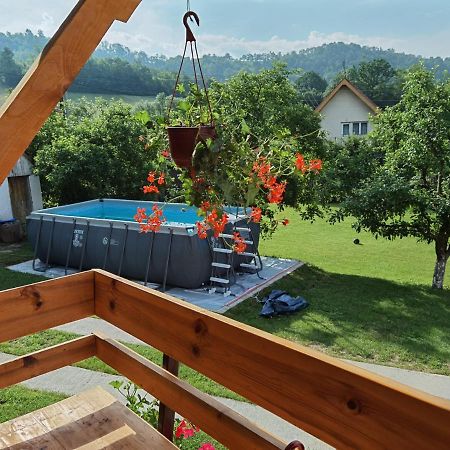 Villa Stara Etno Kuca Radonjic Guča Esterno foto