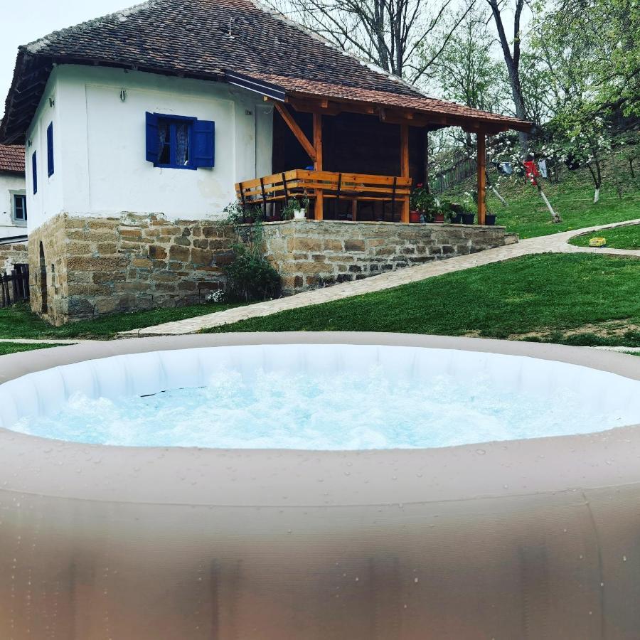 Villa Stara Etno Kuca Radonjic Guča Esterno foto