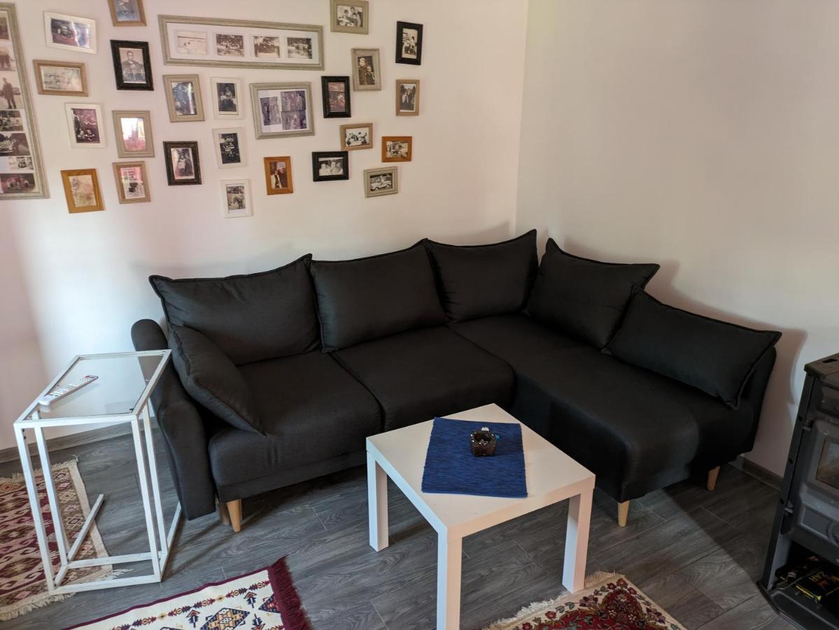 Villa Stara Etno Kuca Radonjic Guča Esterno foto