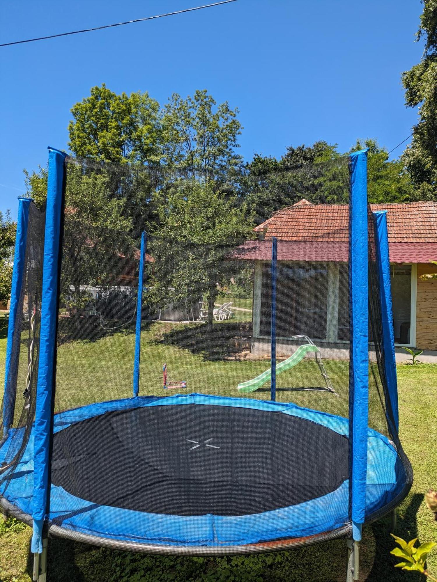 Villa Stara Etno Kuca Radonjic Guča Esterno foto