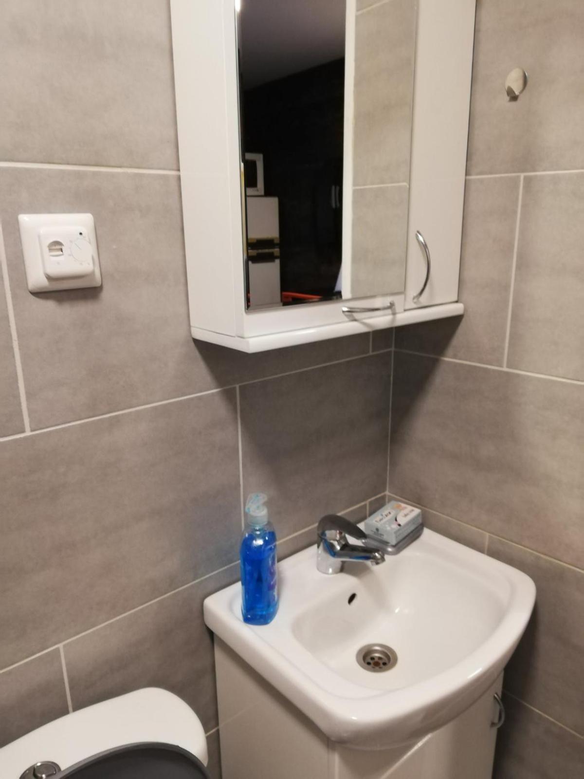 Villa Stara Etno Kuca Radonjic Guča Camera foto