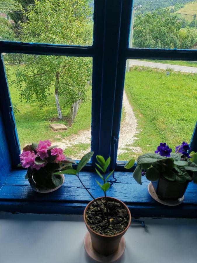 Villa Stara Etno Kuca Radonjic Guča Esterno foto