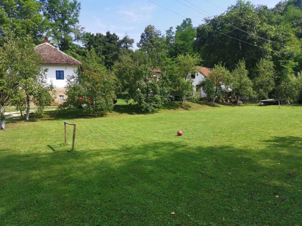 Villa Stara Etno Kuca Radonjic Guča Esterno foto