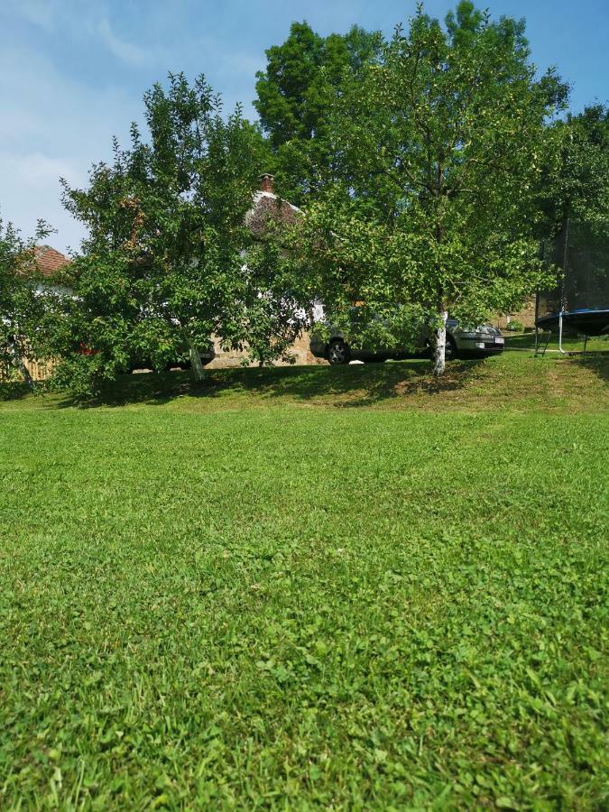 Villa Stara Etno Kuca Radonjic Guča Esterno foto