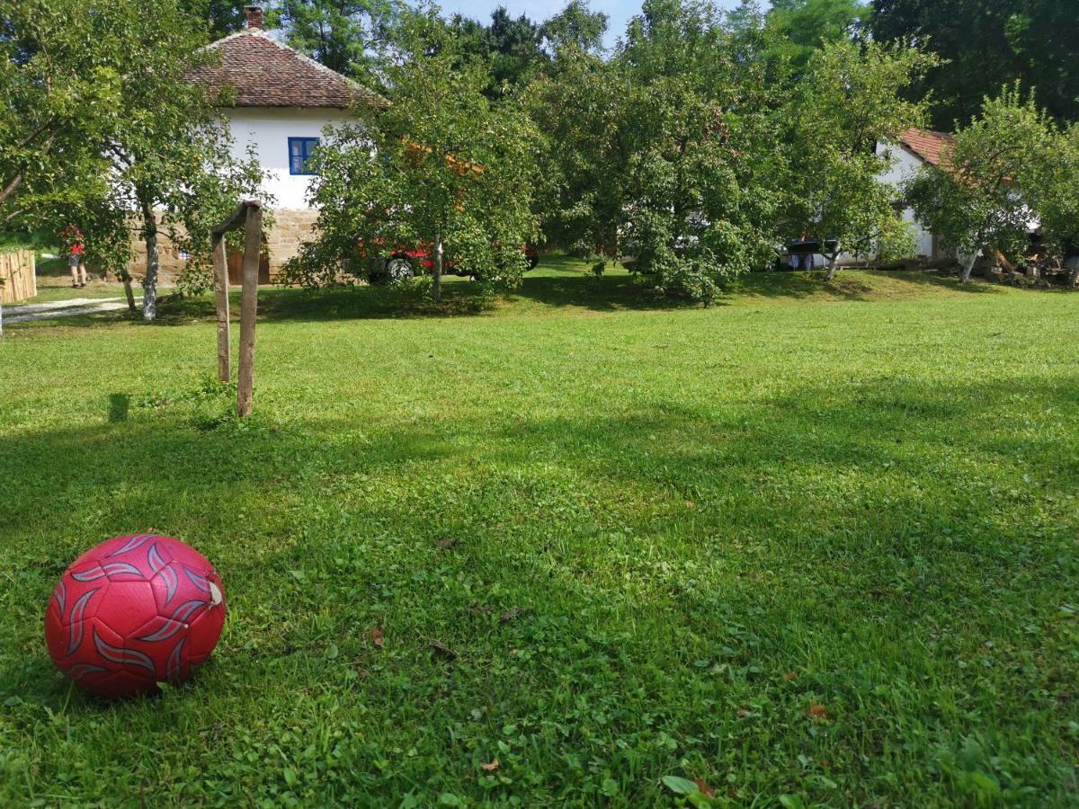 Villa Stara Etno Kuca Radonjic Guča Esterno foto