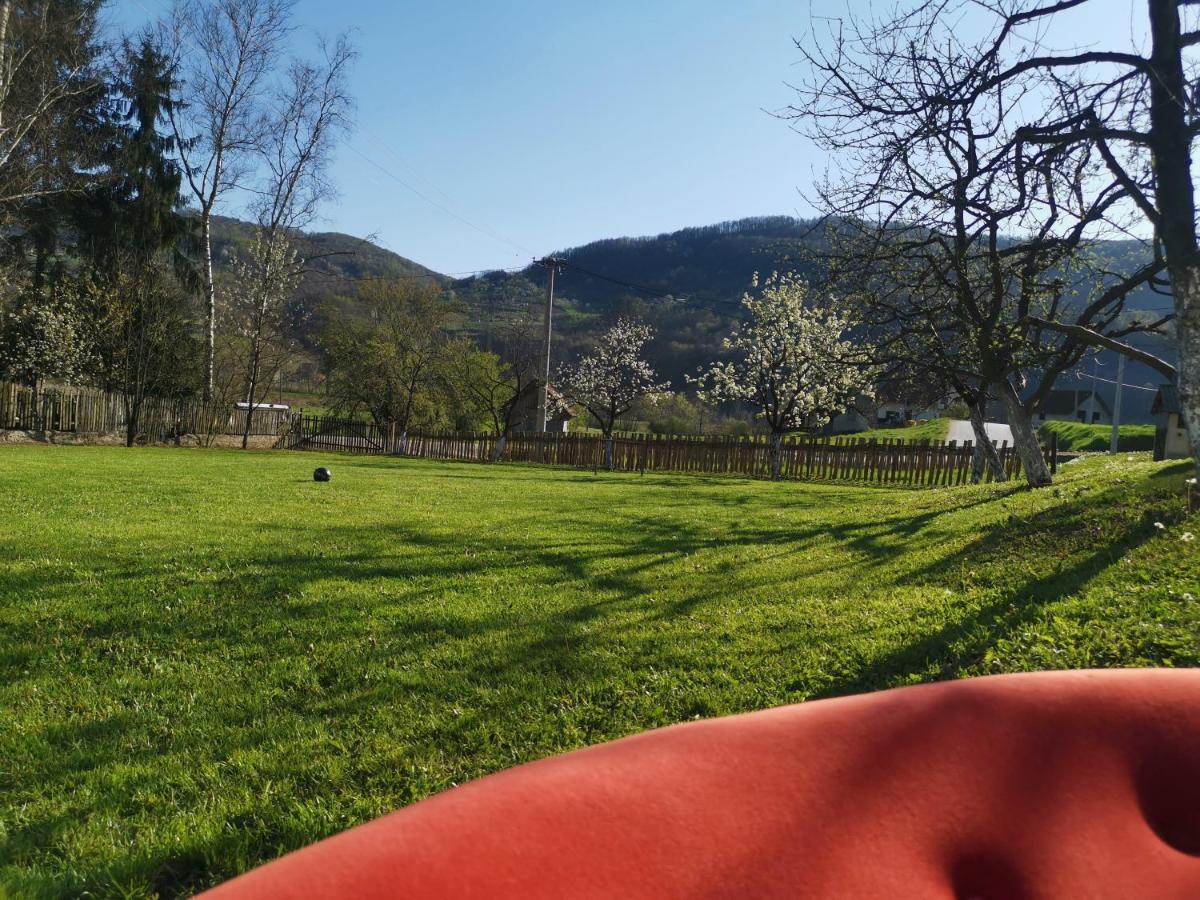 Villa Stara Etno Kuca Radonjic Guča Esterno foto