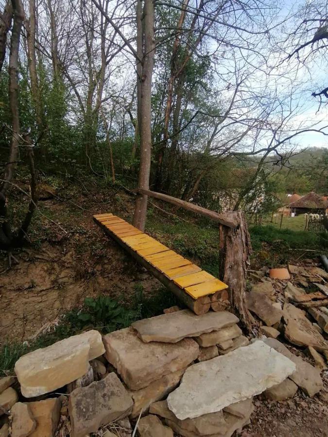 Villa Stara Etno Kuca Radonjic Guča Esterno foto